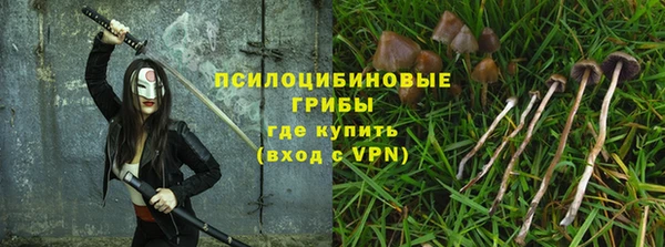 молекула духа Балахна