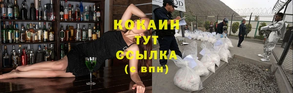 молекула духа Балахна