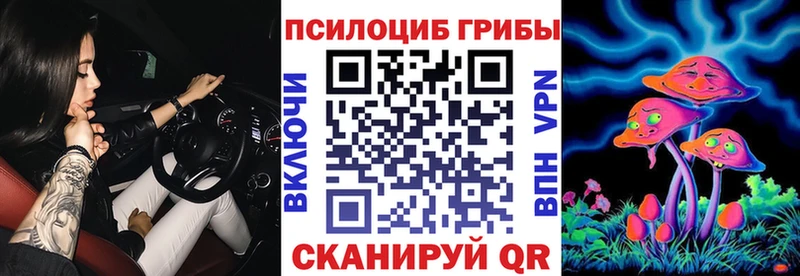 где купить наркоту Гороховец Галлюциногенные грибы прущие грибы